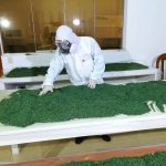 Implementan laboratorio de producción de hongos benéficos para mejorar productividad del cacao