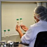 Impulsan desarrollo de la competitividad del cultivo de cacao en San Martín