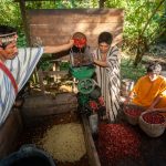 Impulsan proyecto agroforestal que beneficiará a 1500 productores en San Martín