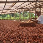 Procompite aprobó más de S/20 millones en planes de negocio