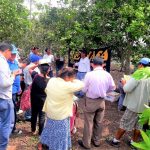 Promueven el desarrollo productivo de la naranja en San Martín