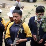 Realizan jornada de forestación en Junín