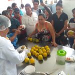 San Martín: Impulsan dar valor agregado en la producción de naranjas
