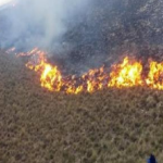 Incendios forestales en Arequipa, Puno y Huánuco fueron extinguidos