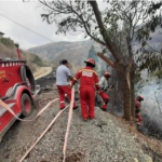 Extinguen cuatro incendios forestales en Apurímac y uno en Cusco