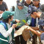 Estudiantes usarán control biológico en la producción de cultivos en Ayacucho