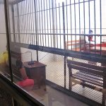 Madre de Dios: Cárcel a pareja de esposos por trata de personas