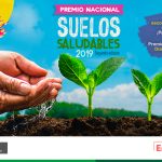 Lanzan concurso de dibujo y pintura dirigido a escolares a nivel nacional