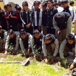 Este 4 de noviembre se inicia la Semana Forestal Nacional 2019