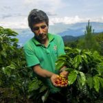 El Gobierno impulsa la producción y consumo interno del café
