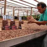Instalarán casa de chocolate por el Día del Cacao Peruano