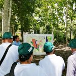 Cacaoteros madrediosinos fortalecen capacidades empresariales en pasantías