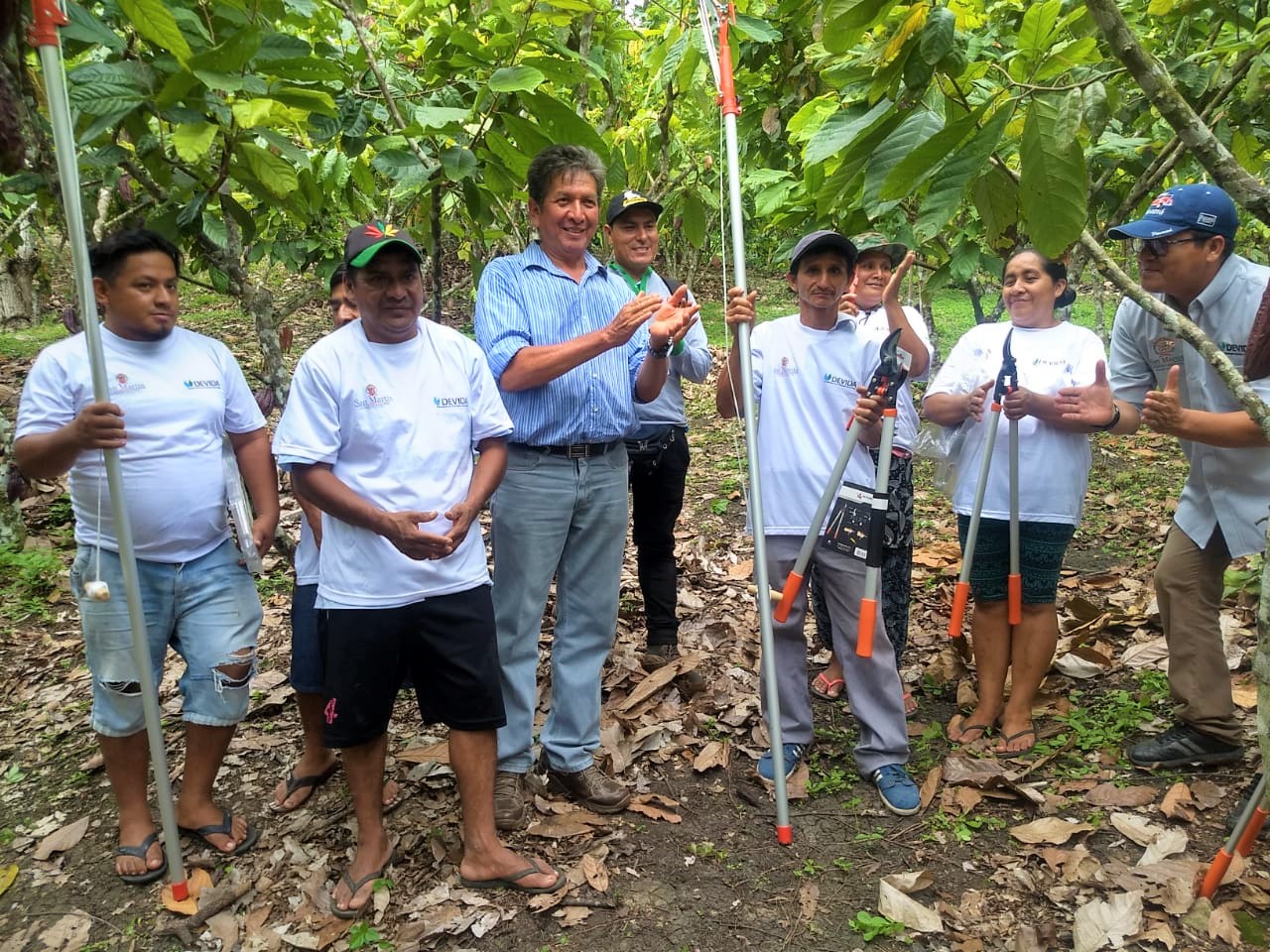Entregan herramientas a productores cacaoteros sanmartinianos en El Dorado - INFOREGION