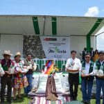 Entregan nueva avena forrajera para mejorar economía de 5 mil ganaderos del Cusco