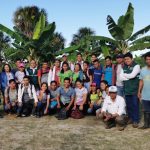 Loreto: Previenen ingreso de hongo Fusarium Raza 4