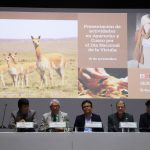 Preparan el I Foro Nacional de Vicuña en Ayacucho