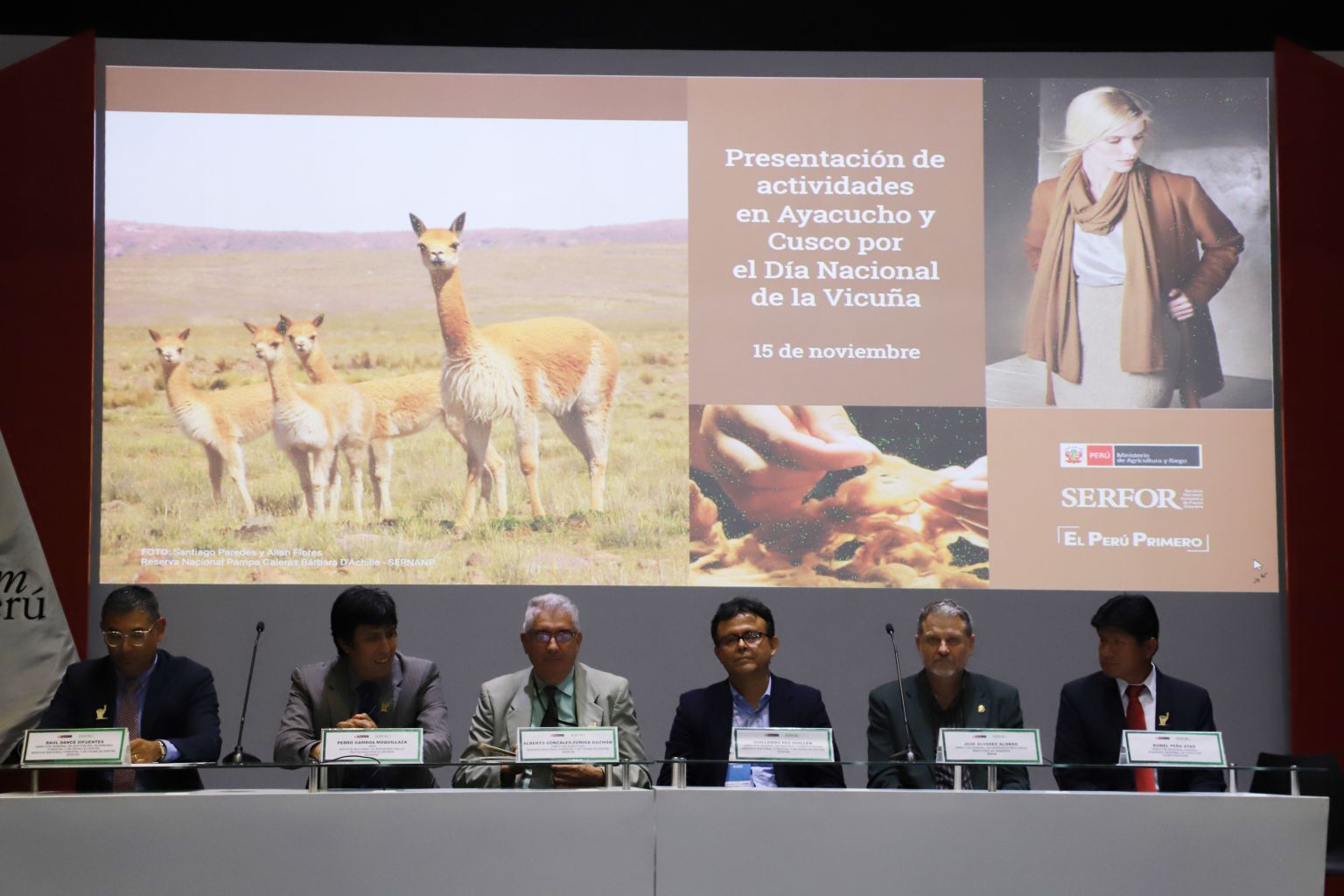 Preparan el I Foro Nacional de Vicuña en Ayacucho - INFOREGION
