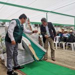 INIA libera nueva quinua con alto contenido de grasas y proteínas