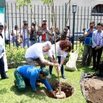 Implementan campaña “10 Millones de Árboles Urbanos al 2021”