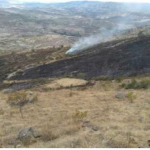Ayacucho: Extinguen incendio forestal en el distrito de Huamanguilla