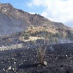 Ayacucho: Extinguen incendio forestal en Chumpi
