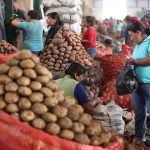 Publican reglamento de ley que busca disminuir las pérdidas de alimentos