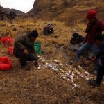Primer banco de semillas de papas nativas en la Reserva Paisajística Nor Yauyos
