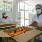 Incorporan productos de agricultores de Junín al programa Qali Warma