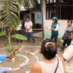 Ucayali: Productores de plátano y piña se capacitarán en Escuelas de Campo del Minagri