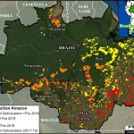Revelan alcance de incendios devastadores en la Amazonía del Brasil