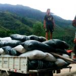 Advierten malos resultados en producción y exportación cafetera