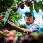 Devida invirtió S/ 21 millones a favor de comunidades del Alto Huallaga