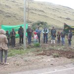 Ayacucho: Siembran pinos en campaña forestal lanzada en Chiara