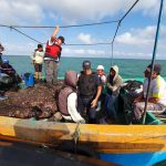 Piura: Recuperan más de 12 toneladas de recursos hidrobiológicos extraídos ilegalmente