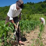 Conveagro pide urgente reestructuración del Ministerio de Agricultura