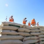 Minagri reunió 27 mil toneladas de guano de la isla en 2019