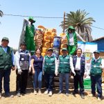 Tacna: Realizan campaña de recolección masiva de envases vacíos de plaguicidas