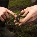 Urge promover buenas prácticas para preservar la productividad del suelo