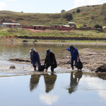 Puno: Recogen más 10 toneladas de basura del rio Ilave