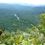 Cordillera del Cóndor en peligro por la minería ilegal