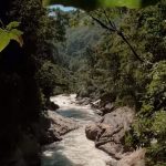 Presentan documental del ACR Codo del Pozuzo