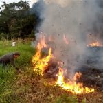 Establecerán hoja de ruta para gestionar incendios forestales