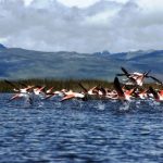 Este domingo se celebrará el Día Mundial de los Humedales