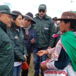 Arequipa: Instalan 30 cobertizos para proteger ganado de alpaca