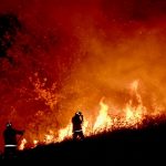 Las ‘fake news’ más insólitas sobre los incendios forestales de Australia