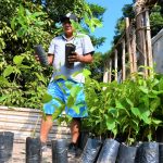 Impulsan la reforestación con árboles nativos en San Martín