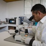 Premio INIA-CARAL 2020 reconocerá contribuciones a la agricultura familiar