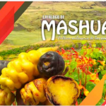 En los EE. UU. divulgan diversidad y ruta de la mashua