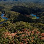 Perú cuenta con reglamento de la Ley Marco sobre Cambio Climático