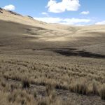 Reconocen dos nuevas áreas de conservación en el Cusco
